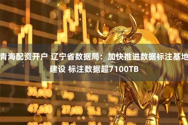青海配资开户 辽宁省数据局：加快推进数据标注基地建设 标注数据超7100TB